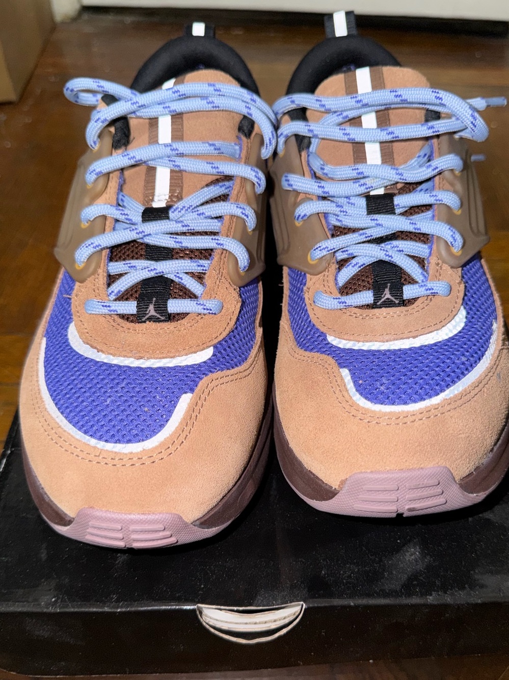 Jordan Trunner Men's Training Sneakers in Brown and Persian Violet